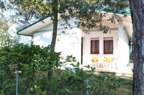 Dream villa with an amazing garden
